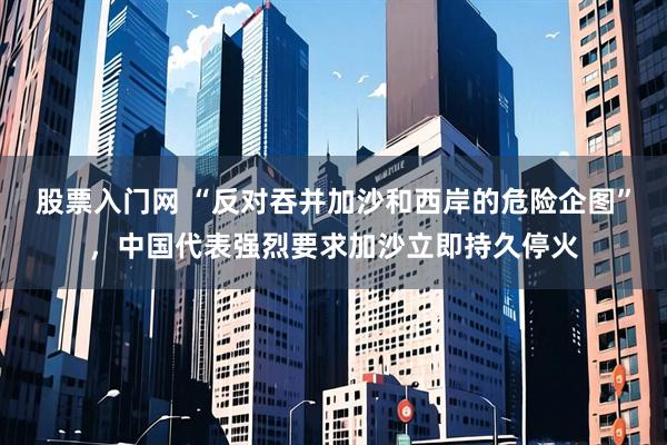 股票入门网 “反对吞并加沙和西岸的危险企图”，中国代表强烈要求加沙立即持久停火