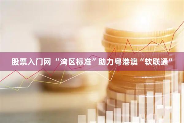 股票入门网 “湾区标准”助力粤港澳“软联通”