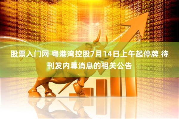 股票入门网 粤港湾控股7月14日上午起停牌 待刊发内幕消息的相关公告