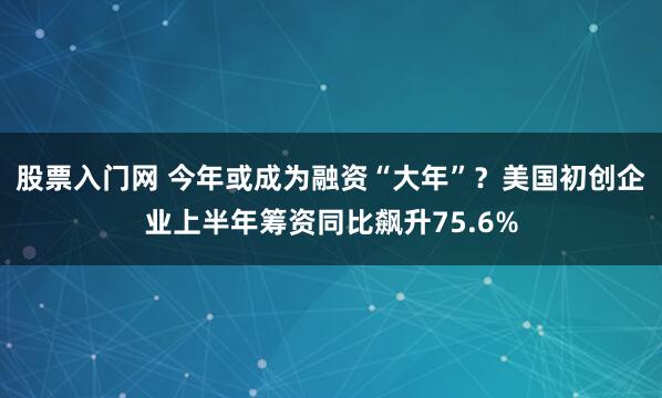 股票入门网 今年或成为融资“大年”？美国初创企业上半年筹资同比飙升75.6%