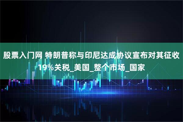 股票入门网 特朗普称与印尼达成协议宣布对其征收19%关税_美国_整个市场_国家