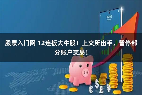 股票入门网 12连板大牛股！上交所出手，暂停部分账户交易！