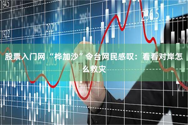 股票入门网 “桦加沙”令台网民感叹：看看对岸怎么救灾